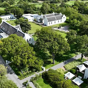 Steenberg Tokai